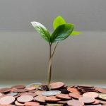 A young plant grows through a pile of coins